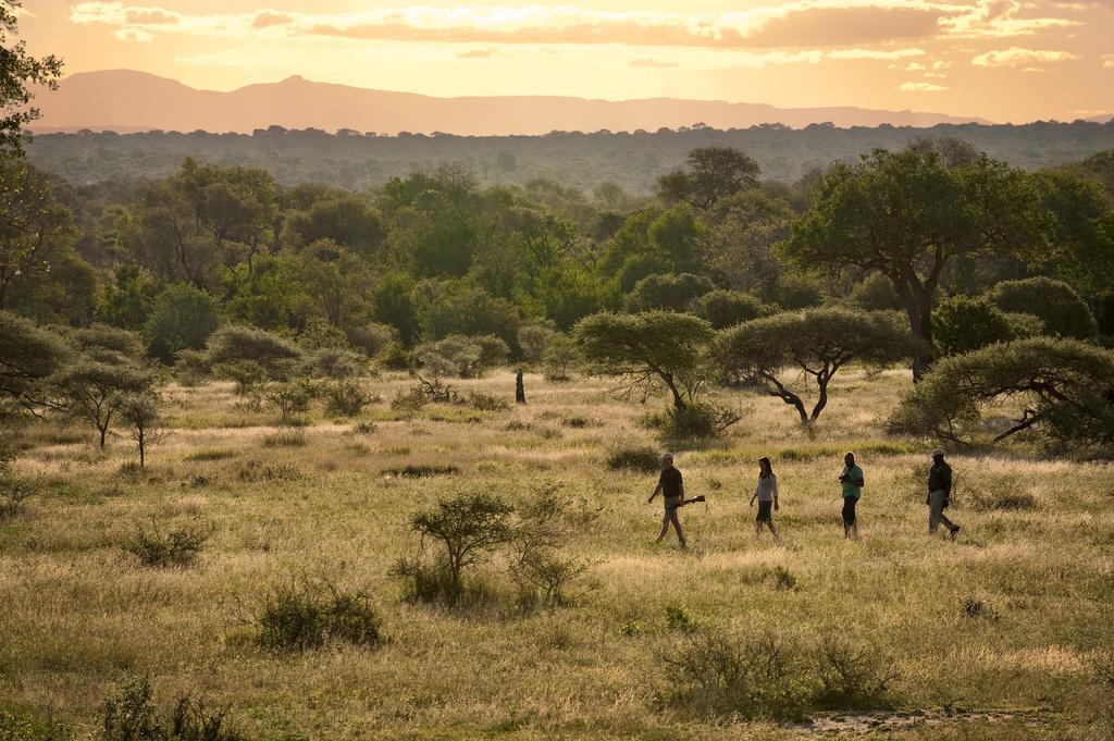 Lion Sands River Lodge Sabi Sand Game Reserve Exteriér fotografie