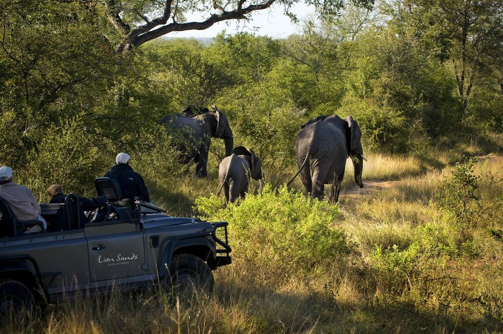 Lion Sands River Lodge Sabi Sand Game Reserve Exteriér fotografie