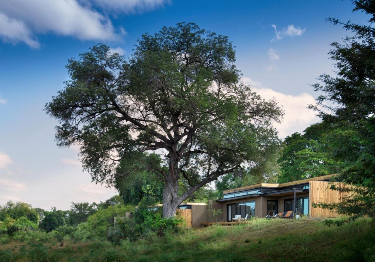 Lion Sands River Lodge Sabi Sand Game Reserve Exteriér fotografie